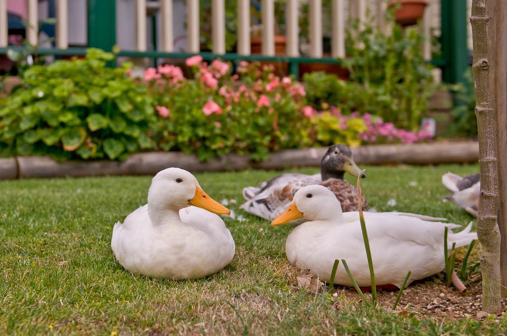 Warragul Gardens Holiday Park المظهر الخارجي الصورة